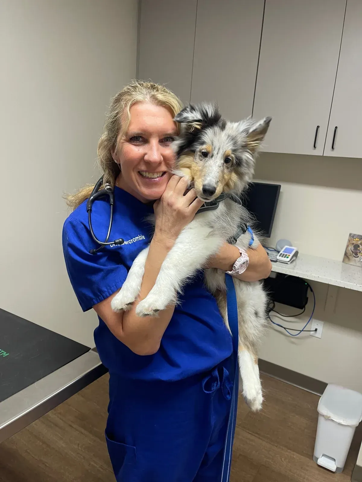 A Gregory Veterinary Clinic doctor holding a puppy patient in one of the clinic's own exam rooms